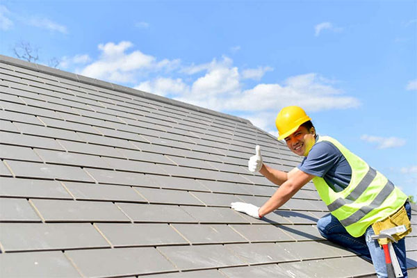Roof Maintenance and Inspection