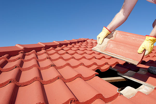 New Roofing Services